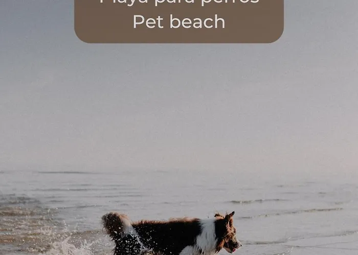 Surfer's View Pool Ac Wifi Deskterrace And Parking * 科拉雷侯