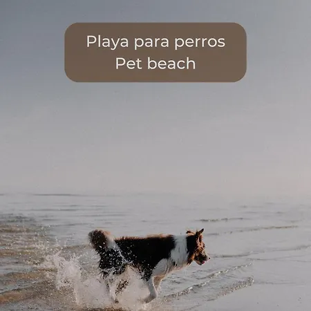 Surfer's View Pool Ac Wifi Deskterrace And Parking * Corralejo